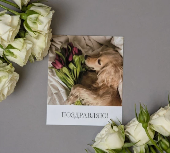 Фото otkrytka-pozdravlyayu-2 - Лавка роз